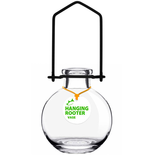 Hanging Small Ball Recycled Glass Rooting Vase