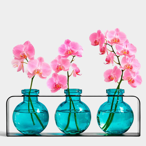 Athena Trio Vase, Aqua with Orchids