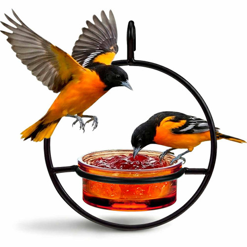 Mosaic Birds Hummble Basic Bird Feeder - Orange