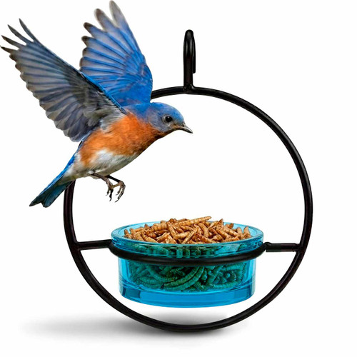 Mosaic Birds Hummble Basic Bird Feeder - Aqua