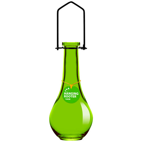 Hanging Drop Recycled Glass Rooting Vase - Lime
