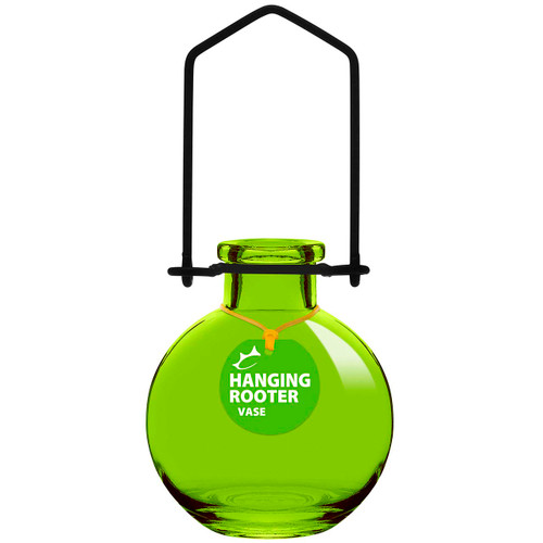 Hanging Small Ball Recycled Glass Rooting Vase - Lime