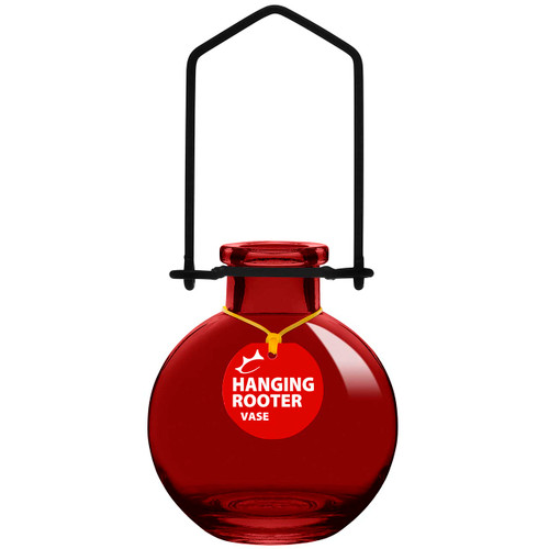 Hanging Small Ball Recycled Glass Rooting Vase - Red