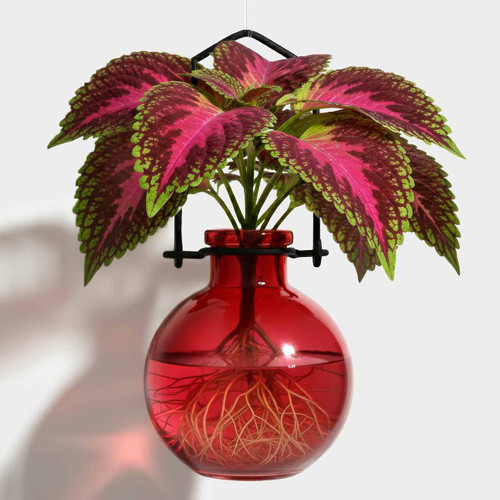 Hanging Propagation Vase, Small Ball, Red
