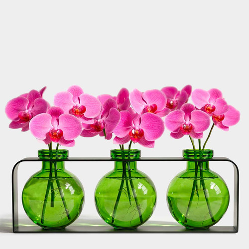 Athena Trio Vase, Lime with Pink Orchids