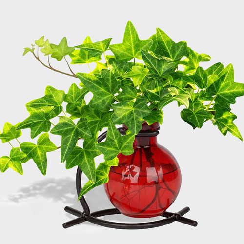 Casablanca Bud Vase, Red