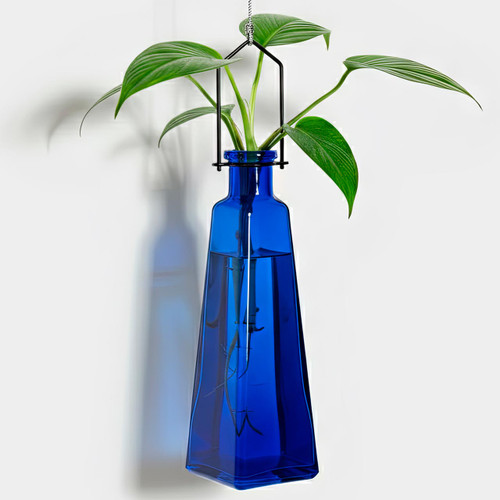 Hanging Propagation Vase, Pyramid, Cobalt Blue with Rooting Philodendron