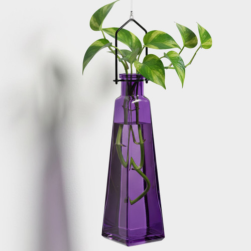 Hanging Propagation Vase, Pyramid, Violet with Rooting Pothos