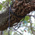 Mosaic Birds Easy Hook Hanging Steel Cable