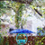 Mosaic Birds Easy Hook Hanging Steel Cable