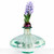 6" Disk Glass Vase