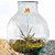 8 Liter Sphere Jar