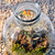 8 Liter Sphere Jar Terrarium
