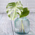 7 1/2" Diamond Recycled Glass Container