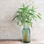11" Diamond Recycled Glass Container