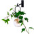 Small Metal Wall Hook with Ball Vase and Plant
