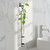 Florence Hanging Pendant Tube Vase with Wall Hook with Rooting Plant in Bathroom