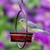 Mosaic Birds Hummble Basic Bird Feeder Red