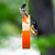Mosaic Birds Bistro Bird Feeder Orange with Birds