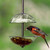 Mosaic Birds Double Hanging Poppy Feeder Clear with Jelly and Oriole