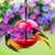Mosaic Birds Double Hanging Poppy Feeder Ruby Red with Jelly and Orioles