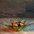 Small Daisy Recycled Glass Bowl
