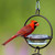 Mosaic Birds Hummble Bold Bird Feeder Clear with Cardinal