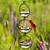 Mosaic Birds Hummble Bold Bird Feeder Clear with Songbirds and Cardinal