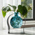 Aphrodite Bud Vase Aqua with Rooting Plant