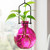 Hanging Propagation Vase, Ball