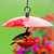 Mosaic Birds Petite Glass Baffle Dome Ruby Red with Jelly and Oriole