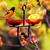 Mosaic Birds Side by Side Poppy Feeder