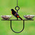 Mosaic Birds Side by Side Poppy Feeder Clear with Oriole