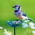 Mosaic Birds Poppy Stake Feeder