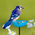 Mosaic Birds Poppy Stake Bird Bath or Feeder