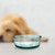 Toby Recycled Glass Bowl, 5.5" with Golden Retriever