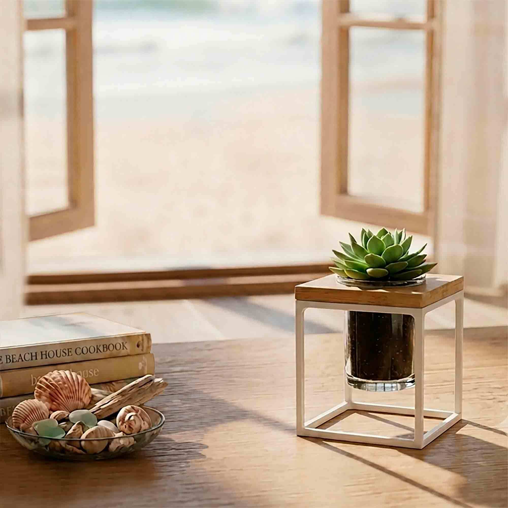 Coastal Pablo Cube Clear with Shells and Books on Table by the Ocean