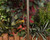 Unique Lighting Systems ENTROPIC ENTR-NL
