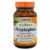 Lidtke Technologies L-Tryptophan 500mg 60 Capsules