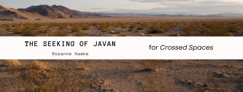 Crossed Spaces: The Seeking of Javan — Rosanne Hawke