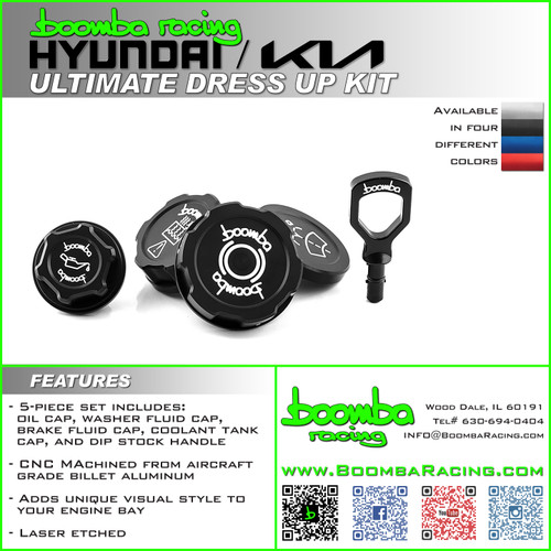 Hyundai / Kia Ultimate Dress Up Kit