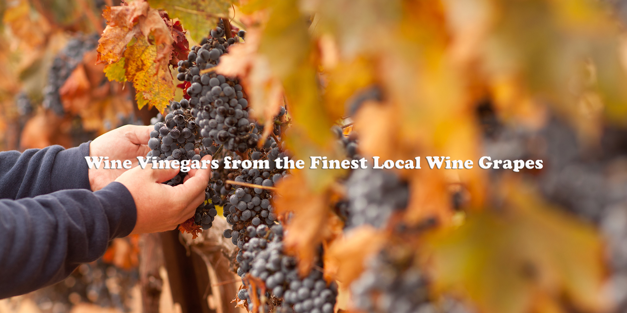 Virginia Vinegar Works