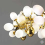 Modern Round Grape Chandelier - CHA01281