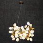 Modern Round Grape Chandelier - CHA01281