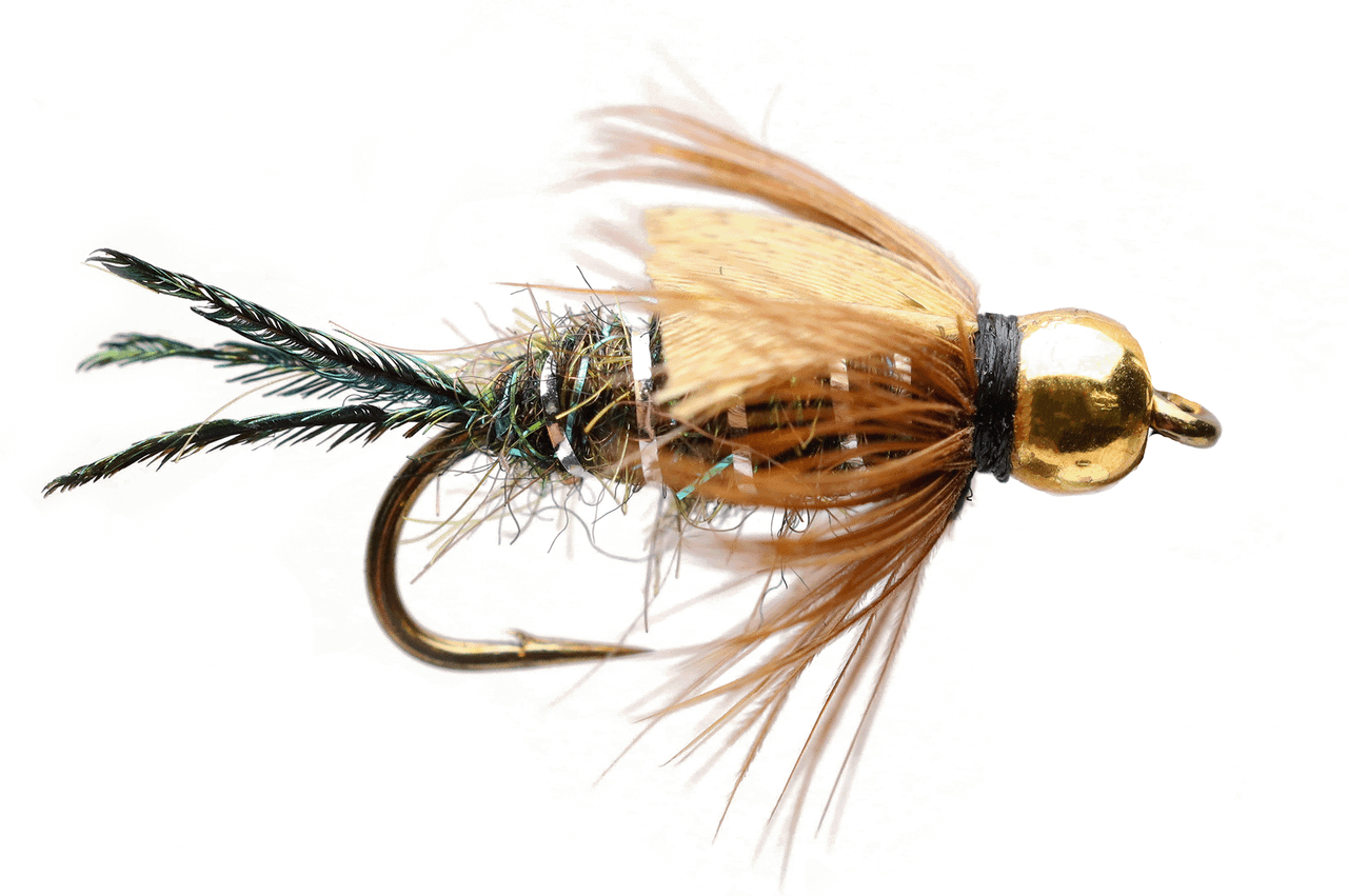 Bead Zug Bug - RoundRocks