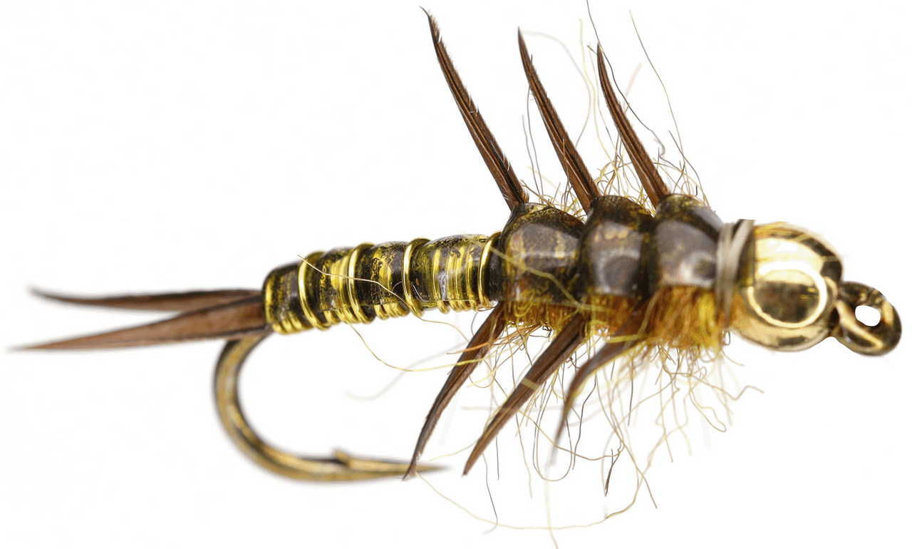 Golden Rolling Stonefly Nymph - RoundRocks