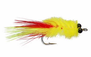 Yellow Tarpon Toad Yellow Tarpon Toad