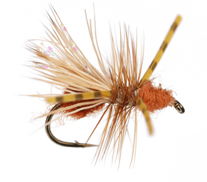 Two Timin' Ant Two Timin' Ant