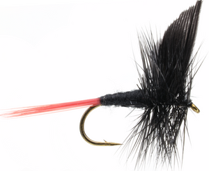 Black Gnat Black Gnat