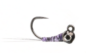 Purple Tiger Perdigon